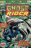 Ghost Rider (1973)  n° 16 - Marvel Comics
