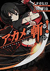 Akame Ga Kill! (2010)  n° 13 - Square Enix