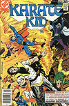 Karate Kid (1976)  n° 13 - DC Comics