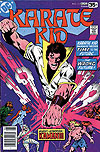 Karate Kid (1976)  n° 15 - DC Comics