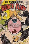 Black Fury (1955)  n° 24 - Charlton Comics