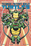 Teenage Mutant Ninja Turtles (1984)  n° 24 - Mirage Studios