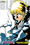 Bleach 3-In-1 Edition (2011)  n° 17 - Viz Media