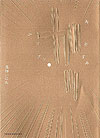 Oyasumi Punpun (2007)  n° 11 - Shogakukan