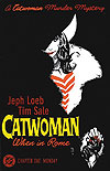Catwoman: When In Rome (2004)  n° 1 - DC Comics