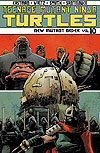Teenage Mutant Ninja Turtles (2012)  n° 10 - Idw Publishing