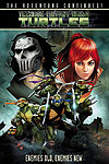 Teenage Mutant Ninja Turtles (2012)  n° 2 - Idw Publishing