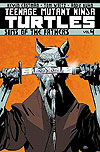 Teenage Mutant Ninja Turtles (2012)  n° 4 - Idw Publishing