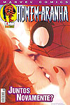 Homem-Aranha  n° 6 - Panini