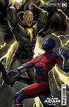 Flash, The (2016)  n° 787