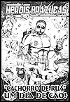 Heróis Brazucas  n° 20 - Independente