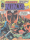 Guerreiro Ninja  n° 2 - Ert