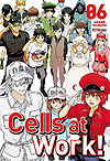 Cells At Work!  n° 6 - Panini