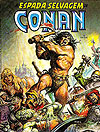 Espada Selvagem de Conan, A  n° 13 - Abril
