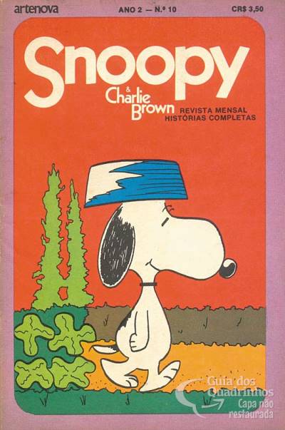 Snoopy & Charlie Brown n° 10 - Artenova