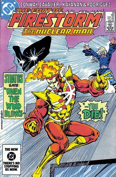 Fury of Firestorm, The (1982)   n° 29 - DC Comics