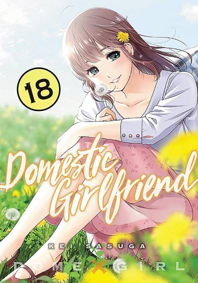Domestic Girlfriend (2017)   n° 18 - Kodansha Comics Usa