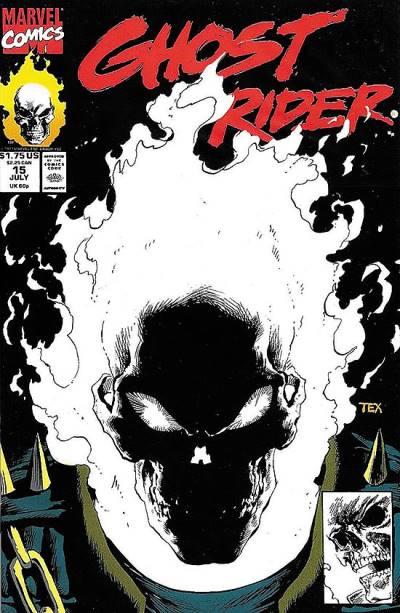Ghost Rider (1990)   n° 15 - Marvel Comics