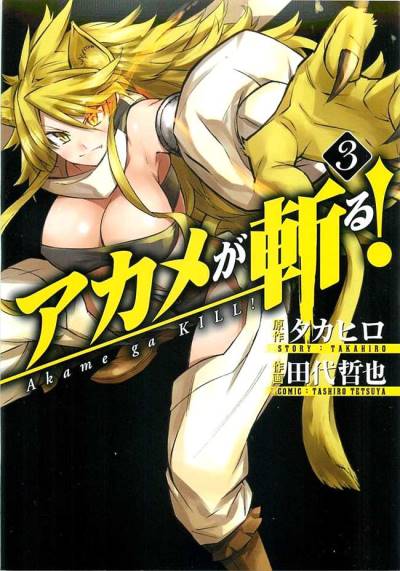 Akame Ga Kill! (2010)   n° 3 - Square Enix