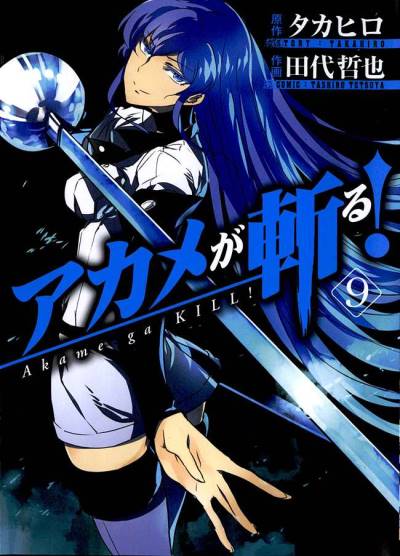 Akame Ga Kill! (2010)   n° 9 - Square Enix