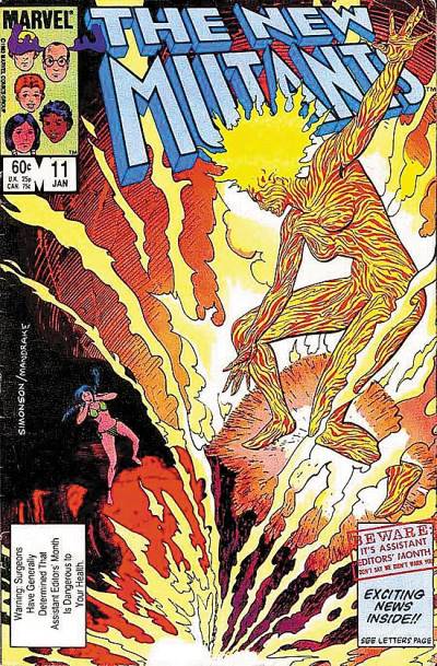 New Mutants, The (1983)   n° 11 - Marvel Comics