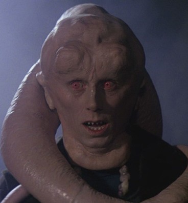 Bib Fortuna