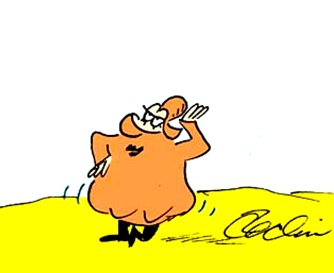 Grossinha