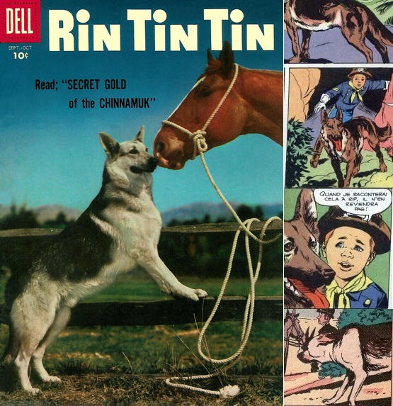 Rin Tin Tin