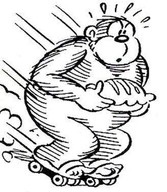 Bozo (Choko)