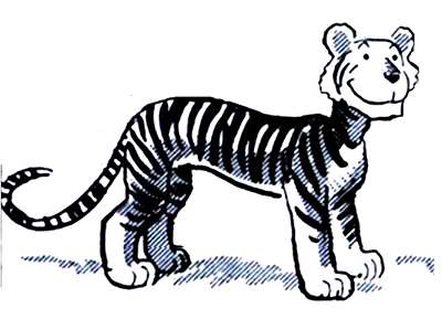 Taboo, O Tigre