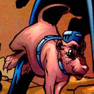 Lady Ratus
