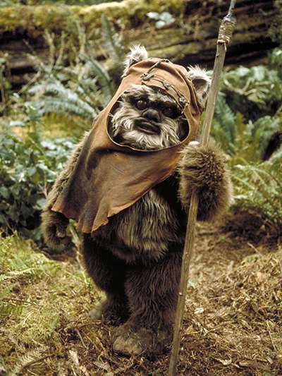 Wicket